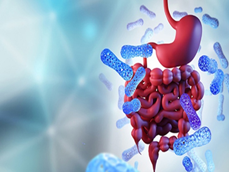 Mikrobiyota Çalışma Grubu