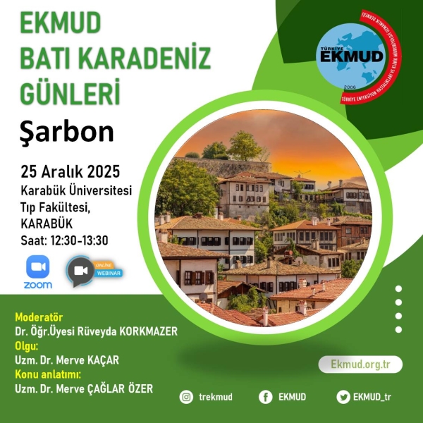 batikaradeniz25aralik