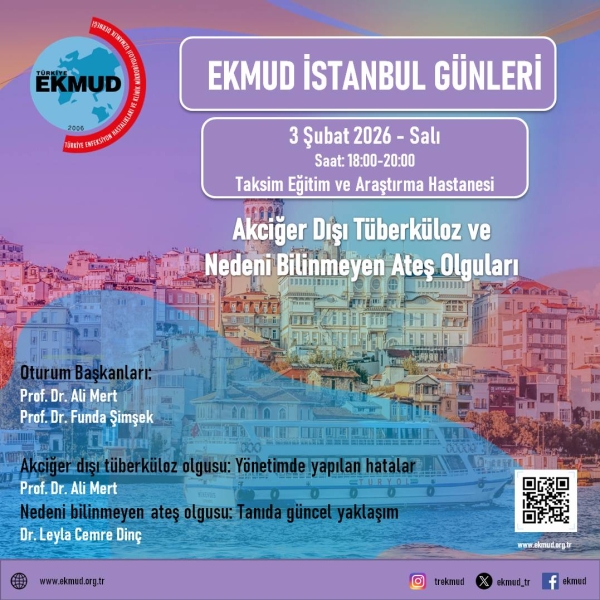 istanbulGunleri3subat26